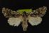  ( - NOC14204)  @14 [ ] Unspecified (default): All Rights Reserved  Unspecified Unspecified