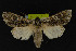  ( - NOC14204)  @14 [ ] Unspecified (default): All Rights Reserved  Unspecified Unspecified