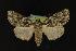  ( - NOC14206)  @14 [ ] Unspecified (default): All Rights Reserved  Unspecified Unspecified