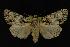  ( - NOC14207)  @14 [ ] Unspecified (default): All Rights Reserved  Unspecified Unspecified