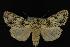  ( - NOC14208)  @14 [ ] Unspecified (default): All Rights Reserved  Unspecified Unspecified