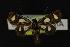  ( - NOC14210)  @13 [ ] Unspecified (default): All Rights Reserved  Unspecified Unspecified