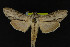  ( - NOC14226)  @13 [ ] Unspecified (default): All Rights Reserved  Unspecified Unspecified