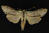  ( - NOC14227)  @14 [ ] Unspecified (default): All Rights Reserved  Unspecified Unspecified