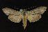  ( - NOC14228)  @13 [ ] Unspecified (default): All Rights Reserved  Unspecified Unspecified