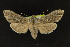  ( - NOC14231)  @14 [ ] Unspecified (default): All Rights Reserved  Unspecified Unspecified