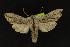  ( - NOC14232)  @13 [ ] Unspecified (default): All Rights Reserved  Unspecified Unspecified