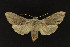  ( - NOC14233)  @14 [ ] Unspecified (default): All Rights Reserved  Unspecified Unspecified