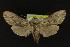  ( - NOC14234)  @14 [ ] Unspecified (default): All Rights Reserved  Unspecified Unspecified