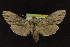  ( - NOC14234)  @14 [ ] Unspecified (default): All Rights Reserved  Unspecified Unspecified