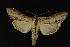  ( - NOC14235)  @14 [ ] Unspecified (default): All Rights Reserved  Unspecified Unspecified