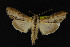  ( - NOC14235)  @14 [ ] Unspecified (default): All Rights Reserved  Unspecified Unspecified