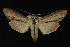  ( - NOC14236)  @14 [ ] Unspecified (default): All Rights Reserved  Unspecified Unspecified