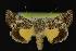  ( - NOC14240)  @13 [ ] Unspecified (default): All Rights Reserved  Unspecified Unspecified