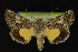  ( - NOC14240)  @13 [ ] Unspecified (default): All Rights Reserved  Unspecified Unspecified