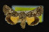  ( - NOC14242)  @13 [ ] Unspecified (default): All Rights Reserved  Unspecified Unspecified