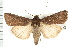  ( - CNC LEP00053195)  @14 [ ] CreativeCommons - Attribution (2008) Unspecified Centre for Biodiversity Genomics