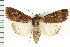  ( - CNC LEP00053211)  @14 [ ] CreativeCommons - Attribution (2008) Unspecified Centre for Biodiversity Genomics