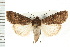  ( - CNC LEP00053212)  @13 [ ] CreativeCommons - Attribution (2008) Unspecified Centre for Biodiversity Genomics
