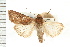  ( - CNC LEP00053215)  @12 [ ] CreativeCommons - Attribution (2008) Unspecified Centre for Biodiversity Genomics