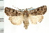  ( - CNC LEP00053231)  @14 [ ] CreativeCommons - Attribution (2008) Unspecified Centre for Biodiversity Genomics