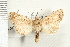  ( - CNC LEP00053254)  @13 [ ] CreativeCommons - Attribution (2008) Unspecified Centre for Biodiversity Genomics