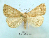  ( - UASM99492)  @14 [ ] Unspecified (default): All Rights Reserved  Unspecified Unspecified