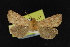  ( - NOC14860)  @12 [ ] Unspecified (default): All Rights Reserved  Unspecified Unspecified
