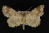  ( - NOC14864)  @14 [ ] Unspecified (default): All Rights Reserved  Unspecified Unspecified