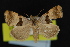  ( - NOC14867)  @13 [ ] Unspecified (default): All Rights Reserved  Unspecified Unspecified