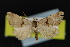  ( - NOC14868)  @14 [ ] Unspecified (default): All Rights Reserved  Unspecified Unspecified
