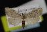  ( - NOC14869)  @13 [ ] Unspecified (default): All Rights Reserved  Unspecified Unspecified