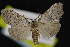 ( - NOC14871)  @13 [ ] Unspecified (default): All Rights Reserved  Unspecified Unspecified