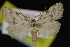  ( - NOC14872)  @13 [ ] Unspecified (default): All Rights Reserved  Unspecified Unspecified