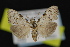  ( - NOC14874)  @13 [ ] Unspecified (default): All Rights Reserved  Unspecified Unspecified