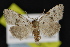  ( - NOC14875)  @13 [ ] Unspecified (default): All Rights Reserved  Unspecified Unspecified