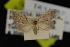  ( - NOC14877)  @11 [ ] Unspecified (default): All Rights Reserved  Unspecified Unspecified