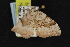  ( - NOC14881)  @12 [ ] Unspecified (default): All Rights Reserved  Unspecified Unspecified
