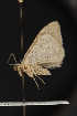  ( - NOC14882)  @12 [ ] Unspecified (default): All Rights Reserved  Unspecified Unspecified