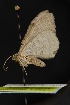  ( - NOC14883)  @12 [ ] Unspecified (default): All Rights Reserved  Unspecified Unspecified