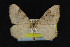  ( - NOC14885)  @13 [ ] Unspecified (default): All Rights Reserved  Unspecified Unspecified