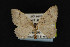  ( - NOC14886)  @13 [ ] Unspecified (default): All Rights Reserved  Unspecified Unspecified