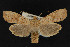  ( - NOC14921)  @14 [ ] Unspecified (default): All Rights Reserved  Unspecified Unspecified
