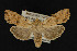  ( - NOC14922)  @14 [ ] Unspecified (default): All Rights Reserved  Unspecified Unspecified