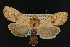  ( - NOC14924)  @14 [ ] Unspecified (default): All Rights Reserved  Unspecified Unspecified