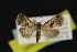  ( - NOC14943)  @11 [ ] Unspecified (default): All Rights Reserved  Unspecified Unspecified