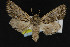  ( - NOC14961)  @14 [ ] Unspecified (default): All Rights Reserved  Unspecified Unspecified