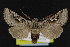  ( - NOC15007)  @13 [ ] Unspecified (default): All Rights Reserved  Unspecified Unspecified