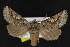  ( - NOC15009)  @13 [ ] Unspecified (default): All Rights Reserved  Unspecified Unspecified