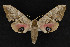  ( - NOC15026)  @13 [ ] Unspecified (default): All Rights Reserved  Unspecified Unspecified